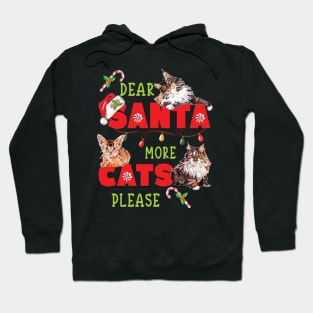 FUNNY CUTE DEAR SANTA MORE CATS PLEASE Hoodie